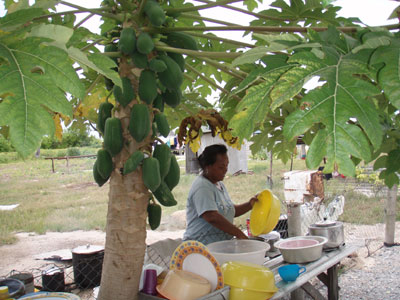 �N���X�}�X��