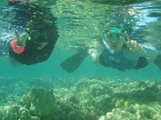 �X�m�[�P�����O